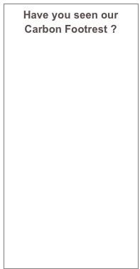 Have you seen our Carbon Footrest ?